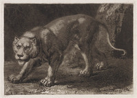 KG 01364
<br/>
Koe en twee tijgers (3 bladen)
<br/>
<em>Gränicher, Samuel (1758-1813)</em>